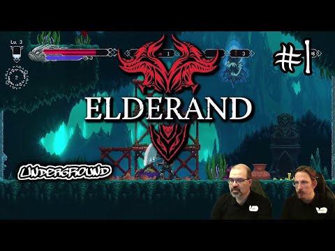 Elderand #1: Mit dem Pixel-Schwert gegen das Böse (Underground)