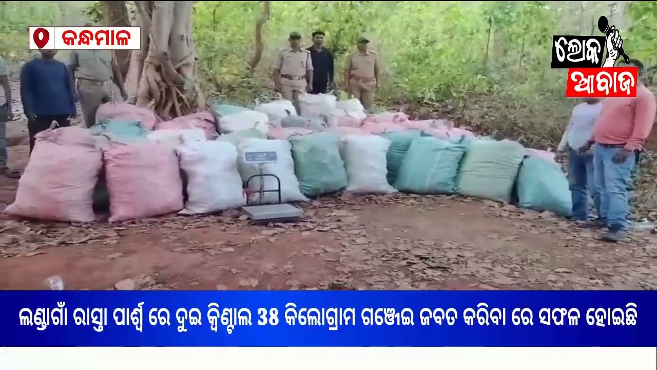 କନ୍ଧମାଳରେ ଅପରେସନ ନୀଳଜହର ତିନି କୋଟିଟଙ୍କାରୁ ଉର୍ଦ୍ଧ   ଗଂଜେଇ ଜବତ