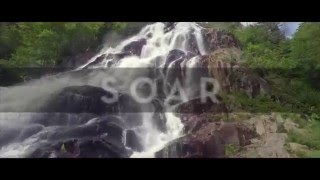 Meredith Andrews - Soar [Official Lyric Video]