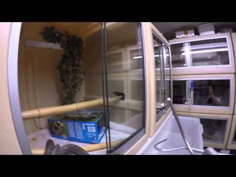 download lagu mp3 mp4 Morelia Nauta, download lagu Morelia Nauta gratis, unduh video klip Morelia Nauta