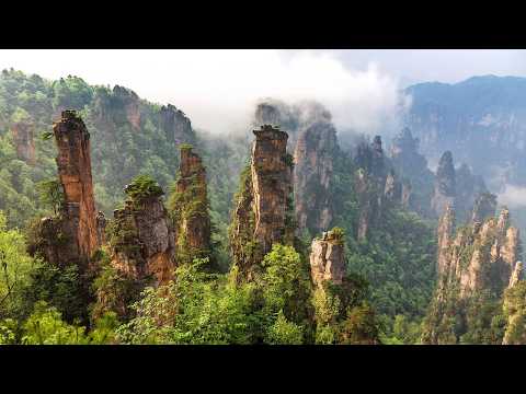 Live: China's Zhangjiajie National Forest Park, a wonderland of peaks and forests