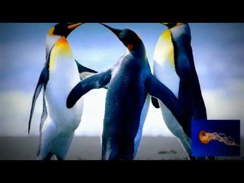 diggin this feeling by dj rich art (remix)