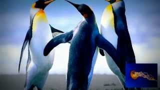 diggin this feeling by dj rich art (remix)