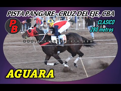 AGUARA: PISTA PANGARE - CRUZ DEL EJE, CBA (14-05-2023)