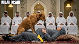 Download lagu VIRAL‼️ Kisah Wanita Hamil Dengan Seekor Anjing, Endingnya Akan Membuat Anda Tak Percaya! mp3 Download lagu VIRAL‼️ Kisah Wanita Hamil Dengan Seekor Anjing, Endingnya Akan Membuat Anda Tak Percaya! mp3