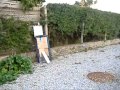 Paint Wmv