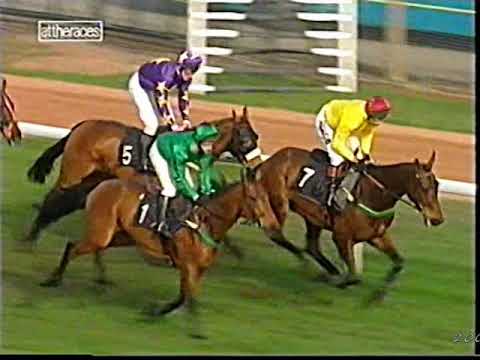 2003 Mildmay Novices' Chase Irish Hussar Inc Replay