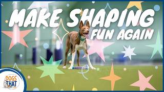 Shaping Q&A: Non-Reward Markers, Reinforcement Strategies, And Making Training Work For Every Dog