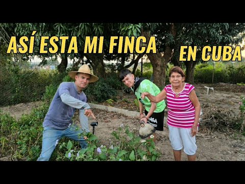 Abuela y familia con nuevas sorpresa en la finca.