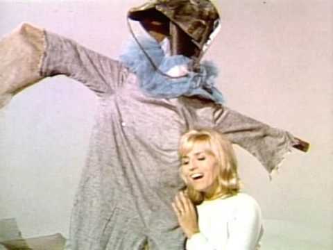 Marjana Deržaj Ptičje strašilo