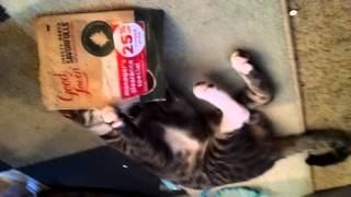 Character: Ambition or Greed?