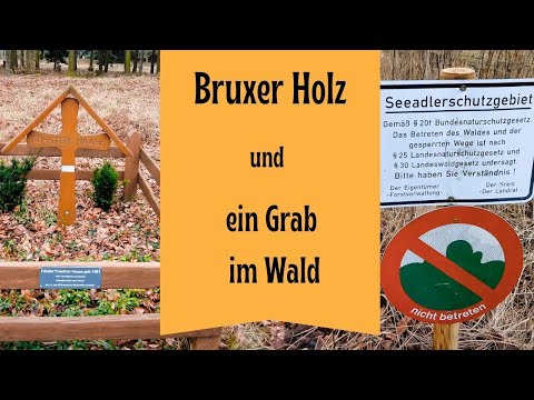 Bruxer Holz und ein Grab im Wald - Wandern in Schleswig Holstein