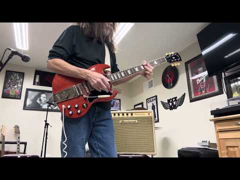 Hazelwood ThunderTone 15 Amp, Celestion 12”, Mercury Magnetics transformers. 2025 - Blonde image 8