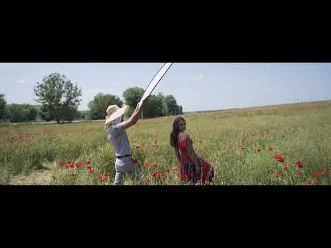 I.O. MODEL - ARINA COSTIUC