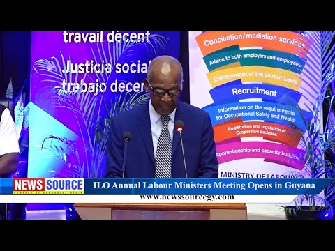 Description or Alt Text