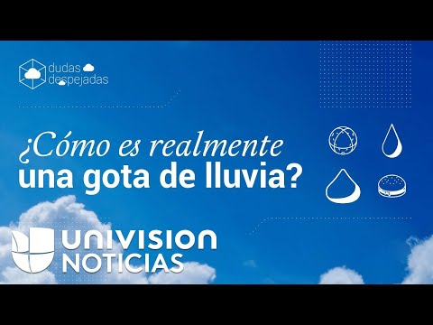 Univision News Digital editorial franchise