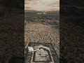 Kabhi Mayoos Na Hona Allah Se Maulana Tarik Jameel Bayan Status Islamic Ytshort