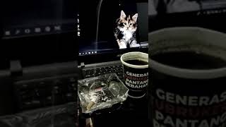 Download lagu Story Wa Ngopi Santuy mp3 Download lagu Story Wa Ngopi Santuy mp3