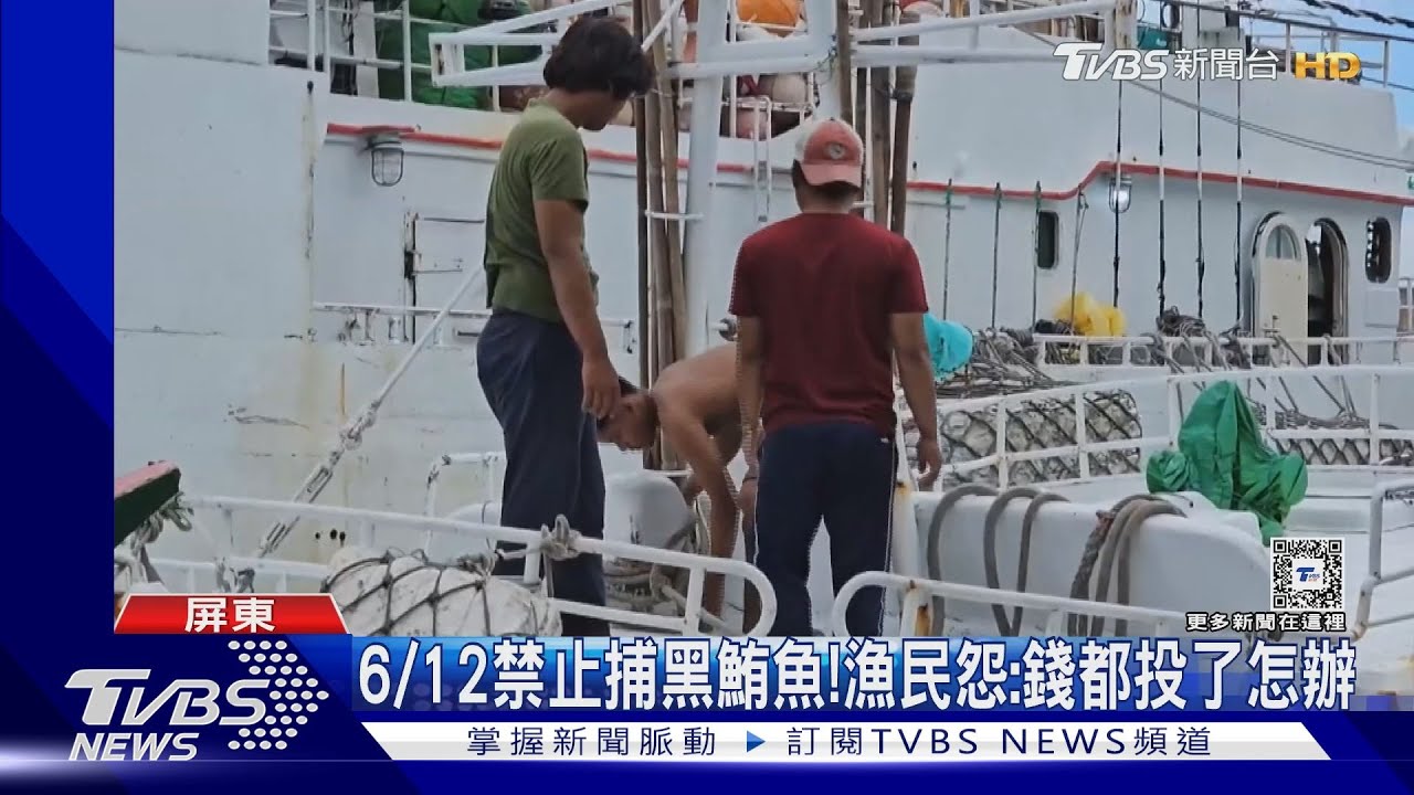 才慶祝豐收! 漁民突收黑鮪魚禁捕令急跳腳