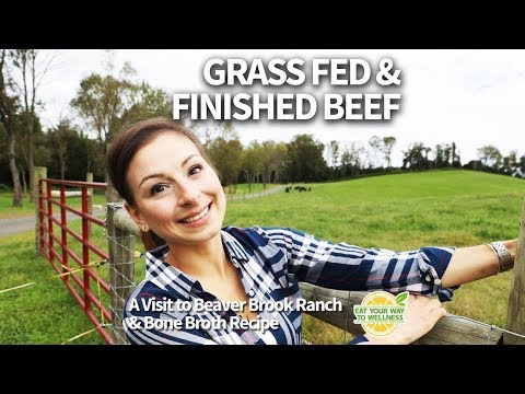 Should You Buy Grass Fed Beef? PLUS a Bone Broth...