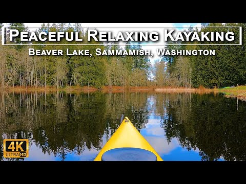 Peaceful Relaxing Kayaking - Beaver Lake, Sammamish, WA in 4K UHD - Nature, Paddling, Birds, Ducks