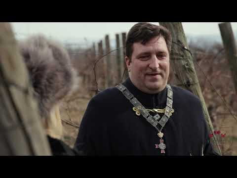 Sveti Trifun na Oplencu! Orezivanje loze. UMETNOST U ČAŠI ep. 328 24.02.2026