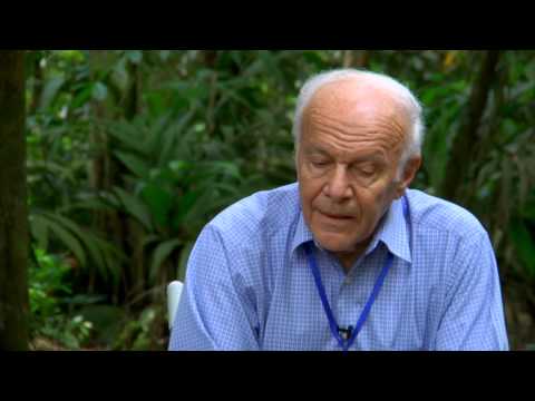 Rodolfo Silva Interview