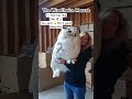 👀 at this woman’s beautiful OWL 🦉 @WizeChoice #owl #birds #short#fyp #birdlover