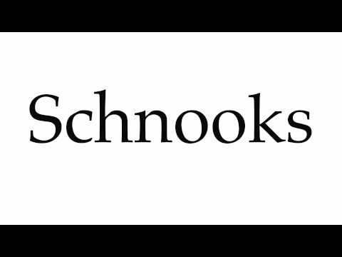 How to Pronounce Schnooks