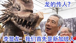 Re: [新聞] 翁曉玲：我們就是中國人 有何不對