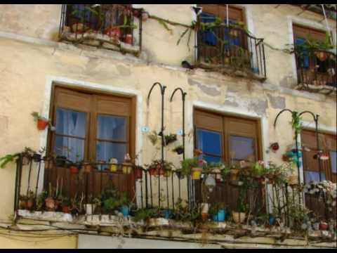 La rosa enflorece by Arany Zoltán