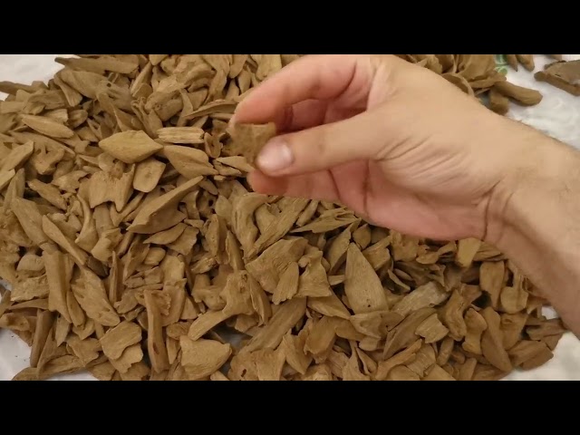 عود موروكي آصقون سوبر مرتفع ودبل سوبر كسر مباخر من متجر مبخر أحمد