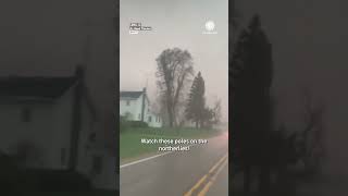 Tornado Near Lena, Illinois Knocks Down Trees, Power Poles