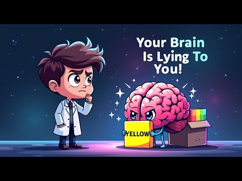 Your Brain’s Greatest Lie: This Changes Everything
