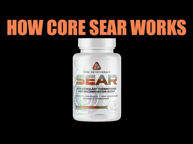 CORE SEAR (Stimulant-Free Fat Burner) | Scientific Breakdown