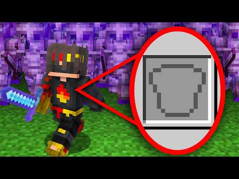 I Took Over an SMP Without Armor