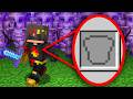 I Took Over An SMP Without Armor