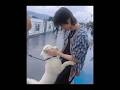 That Dog Is Me In My Animagus Form🥹 The8 Minghao 徐明浩 SEVENTEEN