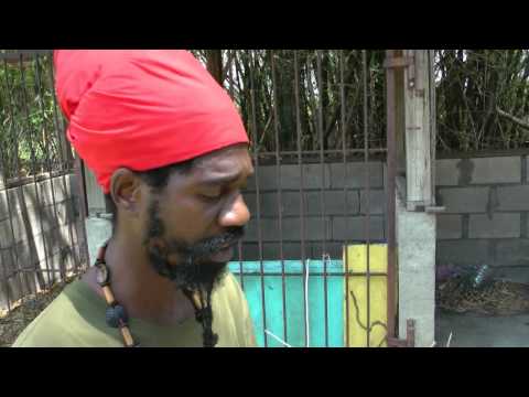 Jamaica 2013 Rasta Vapor Chalice