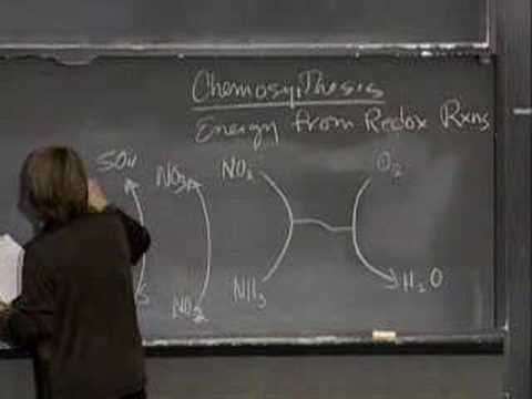 Carbon and Energy Metabolism 