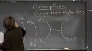 Lec 17 | MIT 7.014 Introductory Biology, Spring 2005