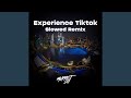 Experience Tiktok - Slowed (Remix)