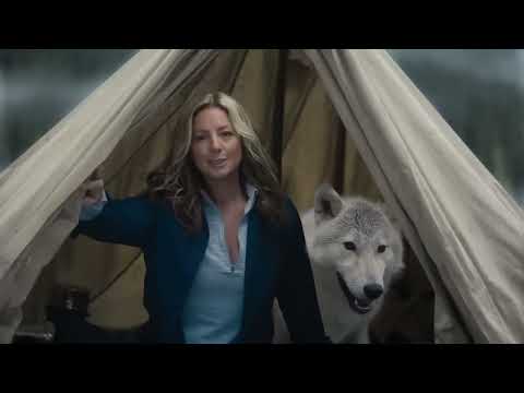 Busch Light 'Shelter' with Sarah McLachlan | Super Bowl 2023 Ads | Commercials