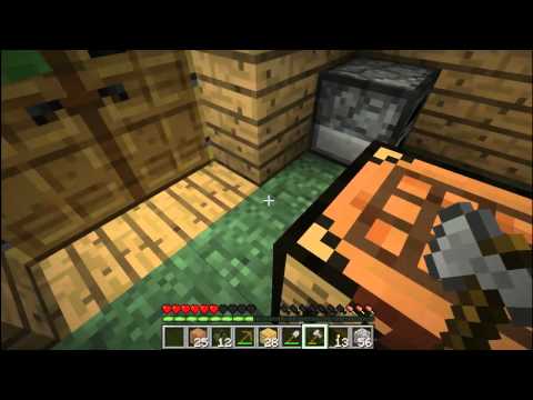 Minecraft (MPLP) 1.díl