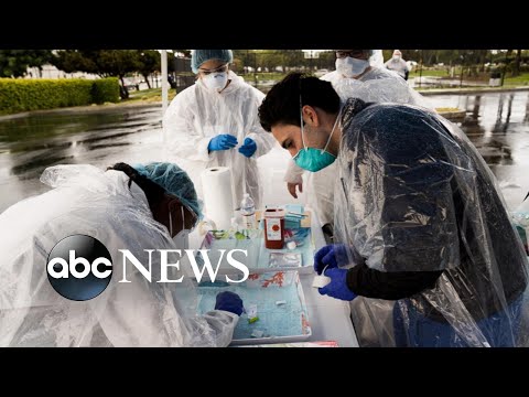 COVID-19抗体検査を全国で実施中 (COVID-19 antibody tests are being conducted across the country)