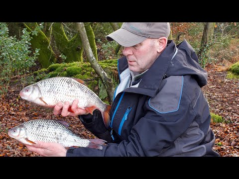 3Lb Hampshire Avon Roach