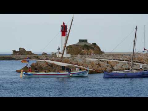 Les voiles latines à Banyuls-sur-mer