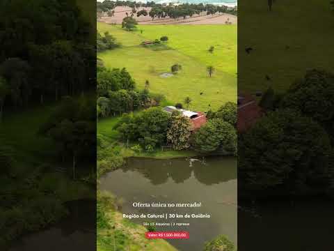 chac 1.5 alqueires em Caturaí GO / whatsapp 62 99373-6407