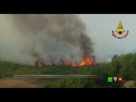 Vigili del Fuoco - Saline di Volterra (PI), Intervento per incendio boschivo - www.HTO.tv