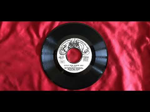 Incredible Broadside Brass Bed Band Little Dead Surfer Girl Stereo Mono